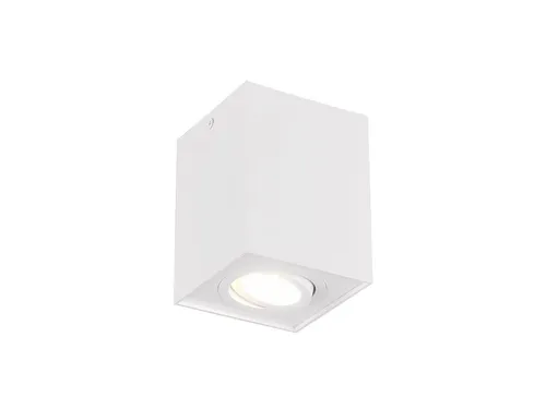 TRIO Leuchten LED Deckenstrahler, Dimmfunktion, LED wechselbar, Warmweiß, kleiner Aufbau-Spot Aufputz Strahler innen, Treppenhaus, Weiß H: 12cm