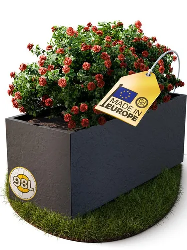 Blumentöpfe & Pflanzgefäße Schwarz von Ondis24