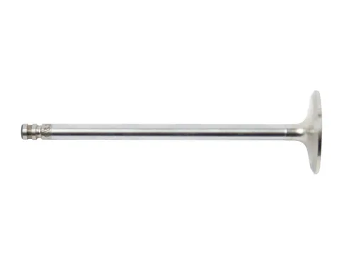 Dt Spare Parts Einlassventil 2.10279