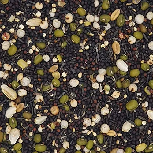 Keimfutter für Kanarien - Gladen 2,5kg