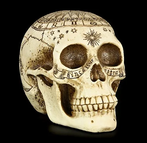 Figuren-Shop.de Totenkopf in beige von Figuren-Shop.de