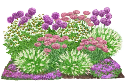 Dehner Bio Stauden-Set Sonnenzeit - 18 Pflanzen für sonnige Standorte - Bringen Sie Sommer-Feeling in Ihren Garten! Das 18-teilige Bio Stauden-Set Sonnenzeit aus der Landlust-Kollektion bietet vielseitige Pflanzen, die von Juli bis September blühen und wenig Pflege benötigen.
