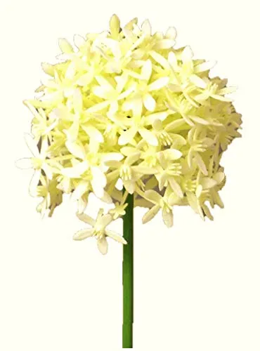 Kunstblumen Allium 52cm. Farbe weiß Weiss Creme