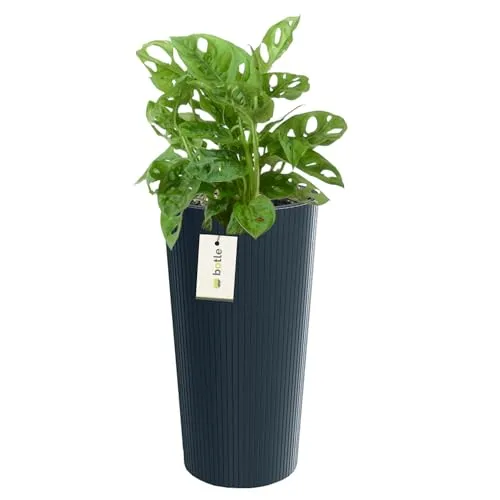 botle Blumentopf Übertopf Gemüse Rund Ø 20 cm H 38,5 cm Farbe Anthrazit Streifenmuster Vertikale Rillen Matteoberfläche, aus Kunststoff Moderner Glamour, Zylindrische Form, Geschenk Dekoration