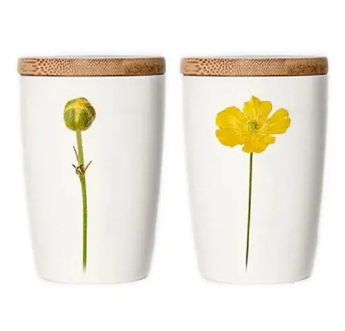 Simply Flowers Tasse Tasse Hahnenfuß (Groß)