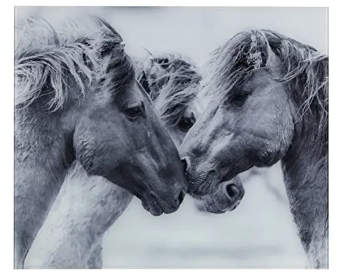 WENKO Glasrückwand Horses - Spritzschutz mit Pferde-Motiv - Arbeits- & Kochplattenabdeckung: Diese gehärtete Glasrückwand schützt Ihre Wände und sorgt für ein hygienisches Küchenambiente. Mit dem charmanten Pferde-Motiv wird Ihre Küche zum Blickfang!
