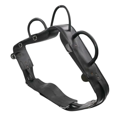 AMKA Voltigiergurt Cheval Warmblut mit runden Griffen und 2 Beinschlaufen, schwarz 057/88