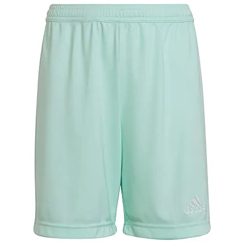 Shorts Grün von adidas