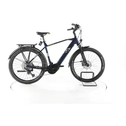 R Raymon TourRay E 7.0 Trekking E-Bike