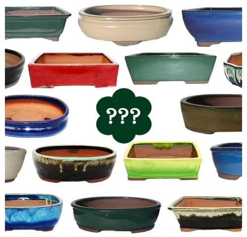 Exotenherz Pflanzschale Bonsai-Schale Größe 4 SONDERPOSTEN Zufallsform/Farbe L ca. 25cm