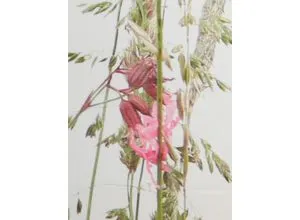 Heine Dekoration von HEINE HOME