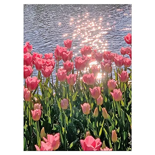 DCIDBEI 40 x 50 cm Diamantmalerei-Set Rund, Diamond Painting Landschaft Rosa Tulpen, Malen Nach Zahlen Erwachsene Blumen, Handwerk Kristall Mosaik Geschenke handgefertigt
