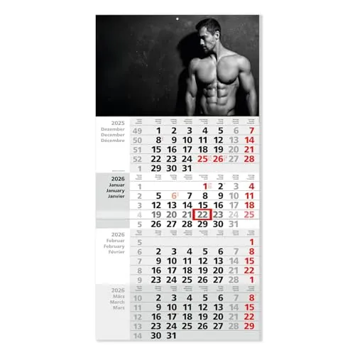 Timr 4-Monatskalender 2026 von Timr