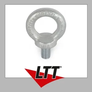 Riggatec Ringschraube DIN 580 M20 galv. verz.