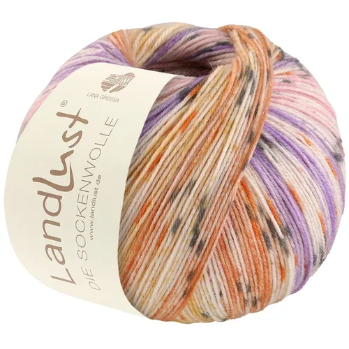 Lana Grossa LANDLUST DIE SOCKENWOLLE (100g) Fb. 513