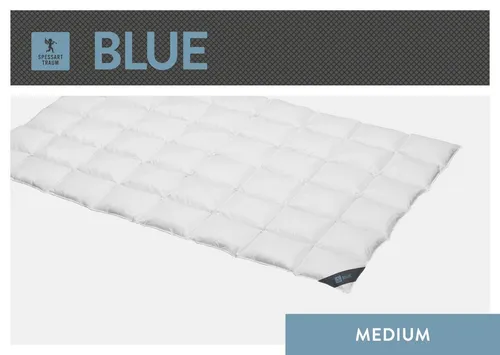 Produktbild SPESSARTTRAUM Daunenbettdecke Blue 155x220 cm