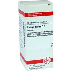 Ginkgo Biloba D 12 Tabletten 80 St