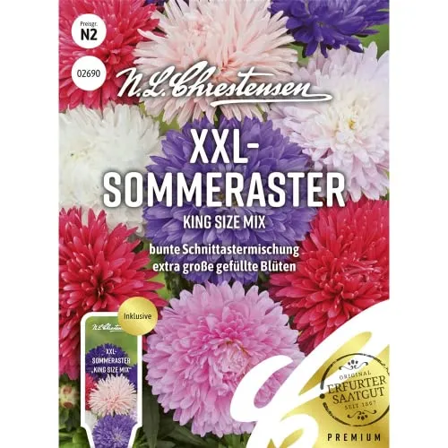 XXL- Sommeraster King Size Mix Samen, Saatgut