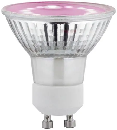 Paulmann LED-Pflanzenlampe Wachstum 230V GU10 3.5W Bernstein - Energiesparlampe zur Unterstützung des Pflanzenwachstums, ideal für Innenräume ohne Tageslicht und perfekt für Urban Jungle Pflanzenleuchten.