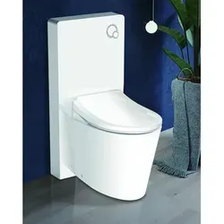 Weißglas Sanitärmodul Für Stand-wc Inkl. Betätigungsplatte