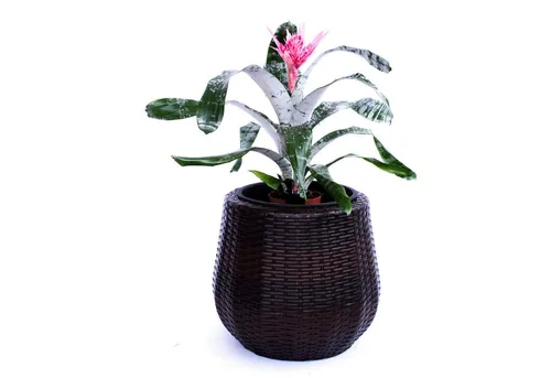 Elegant Einrichten Pflanzkübel D52xH44cm Coffee braun - Garten-Zubehör, moderner Pflanzkübel aus hochwertigem Polyrattan mit Bewässerungssystem – frostsicher, UV-beständig und ideal für Innen- und Außenbereich.