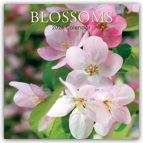 The Gifted Stationery Co. Ltd | Blossoms - 16-Monatskalender 2026 - Schöner Wand-Kalender für 2026 mit Blütenmotiven, mehrsprachig und ideal zur Planung von Terminen und Ereignissen. Perfekt für Zuhause oder das Büro.
