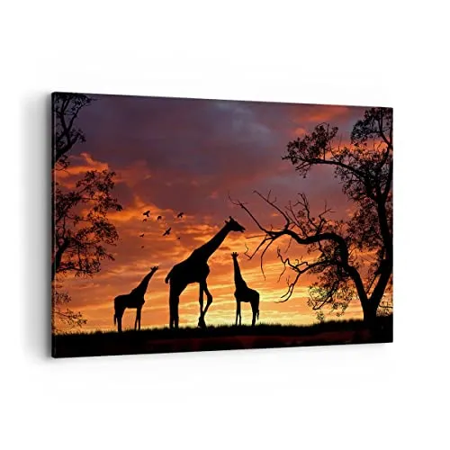 Bilder auf Leinwand 100x70cm Leinwandbild Giraffe Afrika Sonne Safari Groß Wanddeko Bild Schlafzimmer Küche Deko Wandbilder Dekoration Wohnzimmer Wall Decor Canvas Wand Kunstdruck Art AA100x70-0507