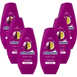 Schauma Fresh it up Pflege Spülung mit Passionsfrucht 1500ml 6er Pack - Shampoos & Spülungen, revitalisierende Pflege für frisches Haar mit exotischem Passionsfrucht-Duft, ideal für tägliche Anwendung.