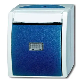 Busch-Jaeger Taster Schliesser 1-pol.AP 2621 WN-53-201