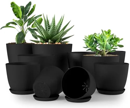 Utopia Home 10er-Pack Blumentopf mit Untertasse in schwarz von Utopia Home