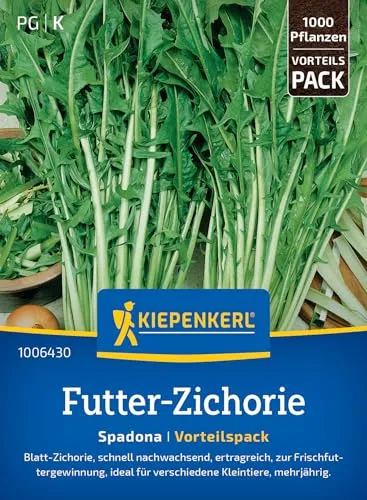 Kiepenkerl Futter-Zichoriensamen Spadona 1006430 von Kiepenkerl
