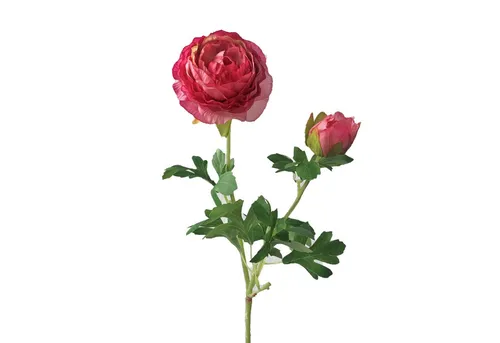 Kunstblume, Seidenblume RANUNKEL ca 40cm, Gasper, Höhe 40.00 cm