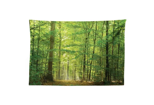 Wandteppiche von Abakuhaus