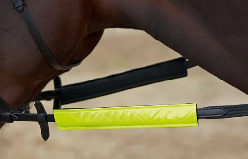 Busse Reflektor für Zügel