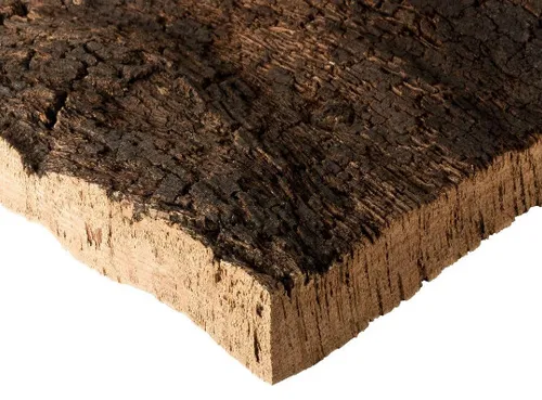 Kork Rinde Stück Platte aus Naturkork | 30x40x3 cm - Unbehandelte Rohware aus Portugal, ideal für kreative DIY-Projekte und als dekoratives Element in Höhlen.