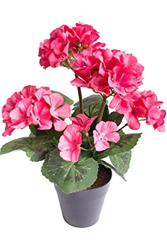 Botanic-Haus künstliche Geranie (Geranienbusch) mit 5 Blütenköpfen im schwarzen Kunststofftopf (pink)