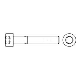 DIN 912/ISO 4762 Zylinderkopf-Schaftschraube M30x310 Stahl 10.9 blank Innensechskant