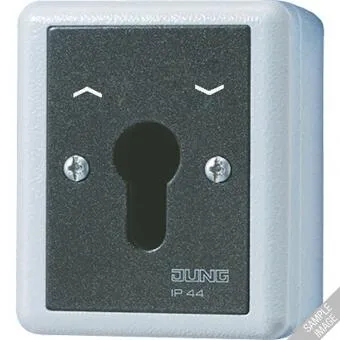 Jung 833.18G Schlüsselschalter Serie WG - Schlüsselschalter für Smart Home, 10 AX, 250 V ~, mit robustem Alu-Druckguss-Gehäuse und 1-poligem Wechsler, ideal für sichere Haussteuerungen.