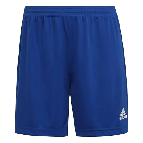Adidas Damen Entrada 22 Shorts, Royal Blue, L