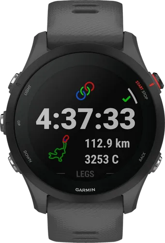 GARMIN FORERUNNER 255 - Smartwatch 22 mm in Slate Grey, ideal für Sportler und Fitness-Enthusiasten
