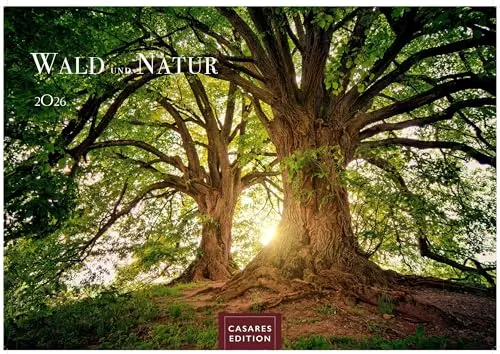 Wald & Natur Kalender 2026 - Fotokalender im Großformat 35x50cm - Kalender für 2026 mit atemberaubenden Naturaufnahmen, gedruckt auf umweltfreundlichem Papier. Perfekt für Naturliebhaber und als dekoratives Geschenk.