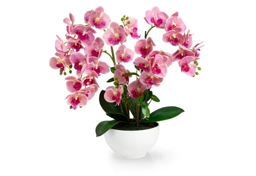 PASCH® XXL Kunstblume Orchidee groß (56cm) im Hochglanz-Keramiktopf - Seiden- & Kunstblumen: Hochwertige Kunstorchidee in edlem Keramiktopf, pflegeleicht und ideal für jeden Raum – bringt natürliche Schönheit ohne Aufwand!