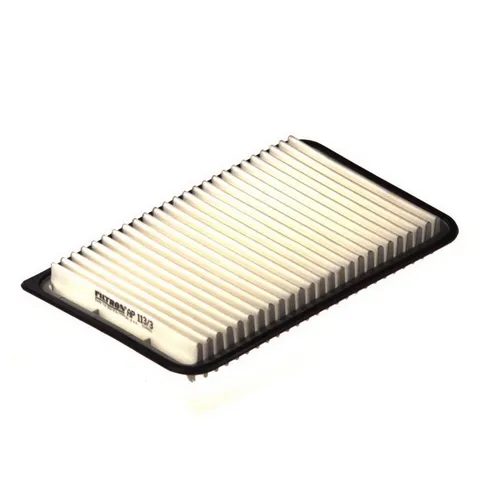 Produktbild Filtron Luftfilter AP 113/3