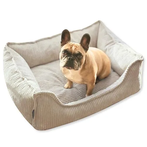 4L Textil Kuscheliges Hundebett aus Cord Hugo Premium-LINE Hundekorb orthopädisch Hundekissen flauschig Hundebett mit Bezug Memory Foam Hundesofa (Beige, 80x60 cm)