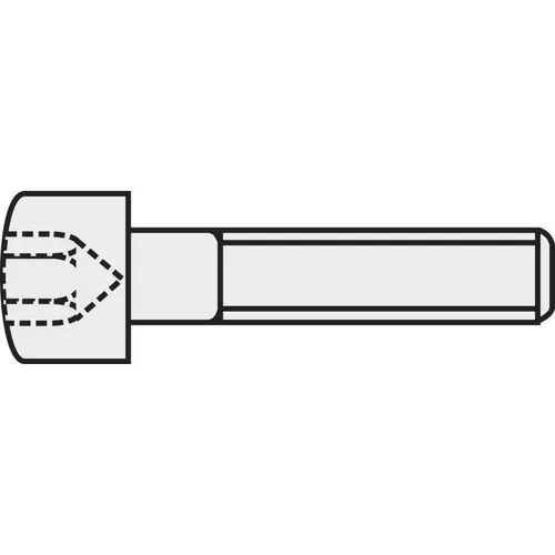 100er Multipack TOOLCRAFT 839686 Zylinderschrauben M5 20 mm Innensechskant DIN