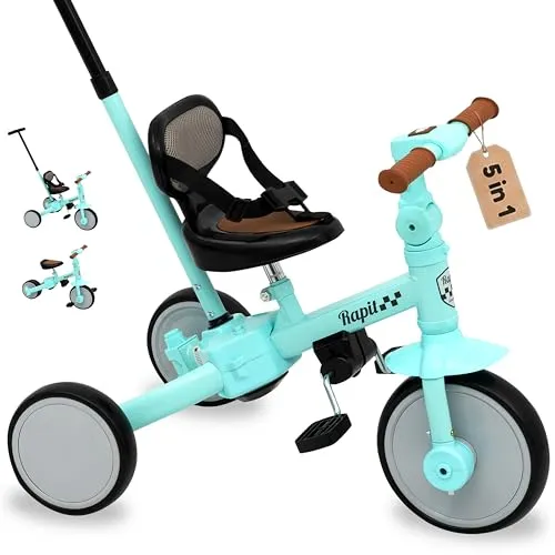 Interbaby 5 in 1 Laufrad & Dreirad ab 1 Jahr | Kinderdreirad mitwachsend bis 5 Jahre | Lauflernhilfe mit Schubstange umbaubar mit/ohne Pedale | Baby Kleinkind Fahrrad (Grün)
