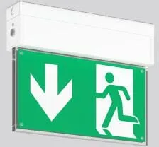 RZB LED-Notleuchte 671983.002.2 von RZB