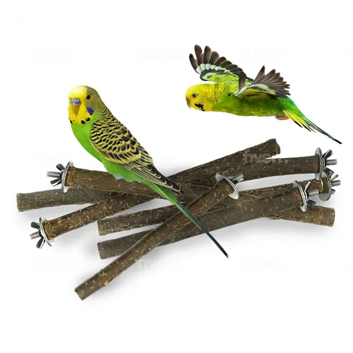 Vogelleitern & -sitzstangen von Kleintierbude