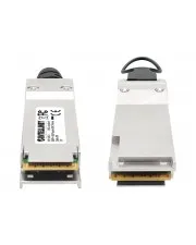 Intellinet QSFP+ 40G Passives DAC Twinax-Kabel 3.0m MSA-konf Kabel m (508537)