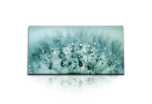 Sinus Art Leinwandbild Kunstdruck Bilder 120x60cm Makrofotografie Pusteblume Tropfen Regentro, (1 St)